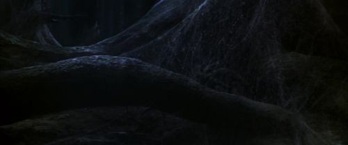 CS-Potterish_07244.jpg