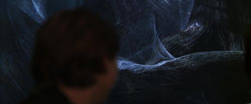 CS-Potterish_07266.jpg