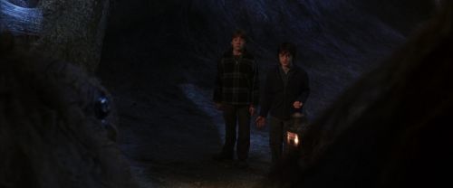 CS-Potterish_07281.jpg