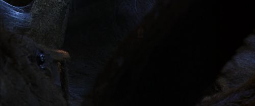 CS-Potterish_07284.jpg