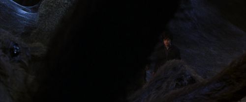 CS-Potterish_07286.jpg