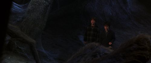 Click to view full size image
==============
CS-Potterish_07289.jpg CS-Potterish_07289.jpg