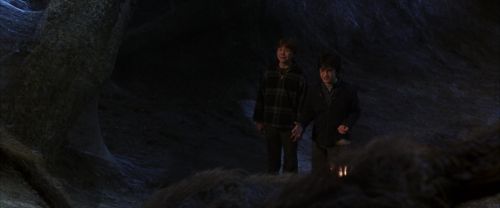 Click to view full size image
==============
CS-Potterish_07292.jpg CS-Potterish_07292.jpg