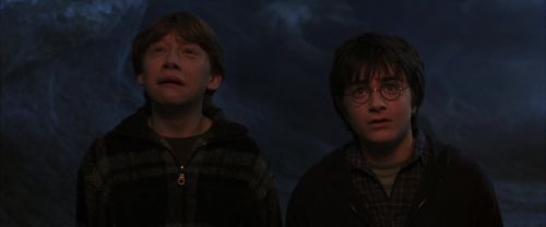 Click to view full size image
==============
CS-Potterish_07299.jpg CS-Potterish_07299.jpg