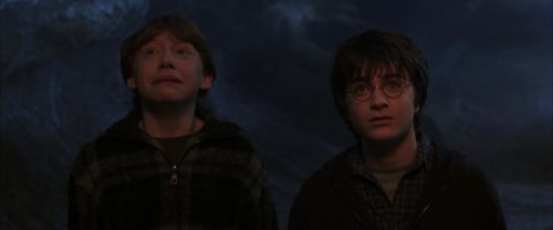 CS-Potterish_07306.jpg