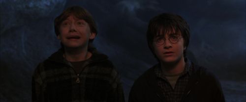 CS-Potterish_07307.jpg