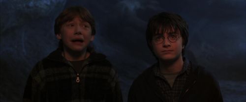 Click to view full size image
==============
CS-Potterish_07309.jpg CS-Potterish_07309.jpg