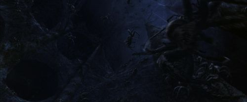 CS-Potterish_07319.jpg