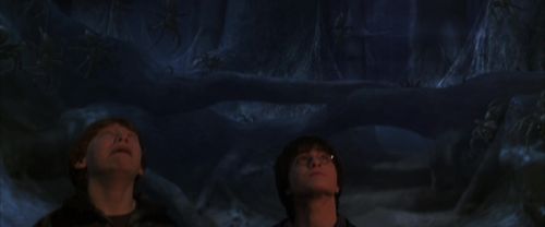 Click to view full size image
==============
CS-Potterish_07324.jpg CS-Potterish_07324.jpg