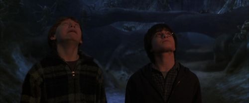 CS-Potterish_07325.jpg