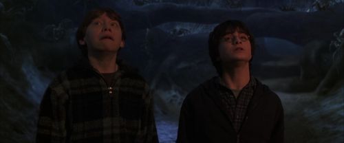 CS-Potterish_07326.jpg