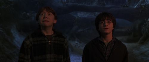 CS-Potterish_07328.jpg