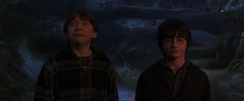 CS-Potterish_07329.jpg