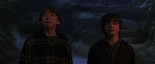 CS-Potterish_07330.jpg