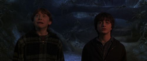 Click to view full size image
==============
CS-Potterish_07331.jpg CS-Potterish_07331.jpg