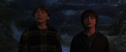CS-Potterish_07332.jpg