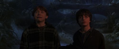 CS-Potterish_07333.jpg