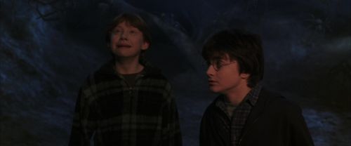 CS-Potterish_07343.jpg