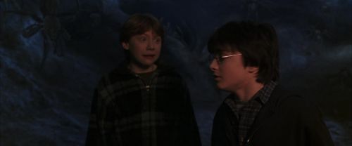 CS-Potterish_07344.jpg