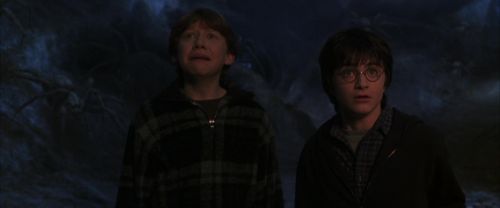 CS-Potterish_07346.jpg
