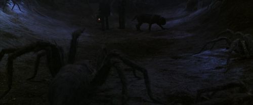CS-Potterish_07348.jpg