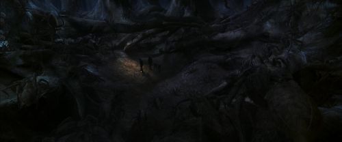 CS-Potterish_07355.jpg