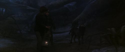 CS-Potterish_07366.jpg