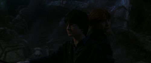 CS-Potterish_07373.jpg