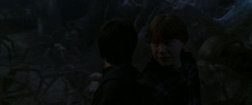 CS-Potterish_07374.jpg