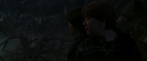 Click to view full size image
==============
CS-Potterish_07375.jpg CS-Potterish_07375.jpg