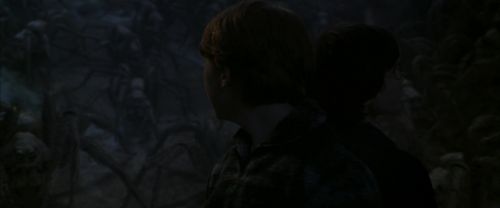 CS-Potterish_07376.jpg