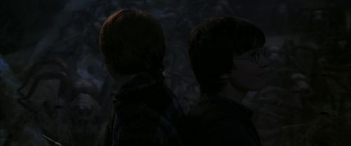 CS-Potterish_07377.jpg