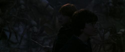 CS-Potterish_07379.jpg