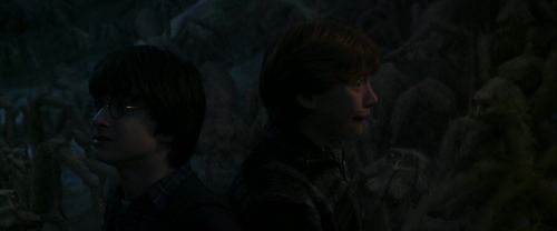 CS-Potterish_07383.jpg