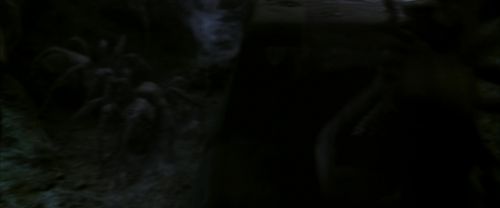 CS-Potterish_07388.jpg