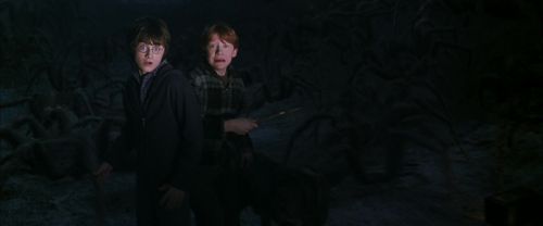 CS-Potterish_07389.jpg