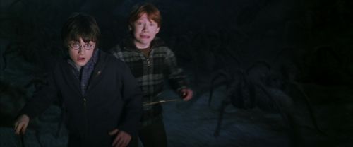 CS-Potterish_07390.jpg