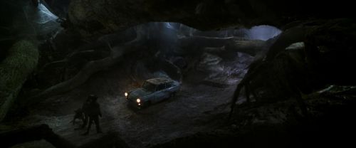 CS-Potterish_07392.jpg