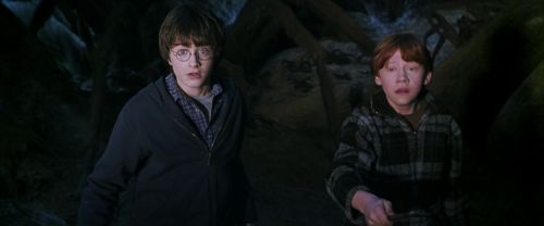 Click to view full size image
==============
CS-Potterish_07394.jpg CS-Potterish_07394.jpg