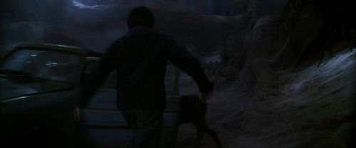 CS-Potterish_07404.jpg