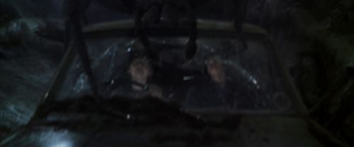 CS-Potterish_07411.jpg