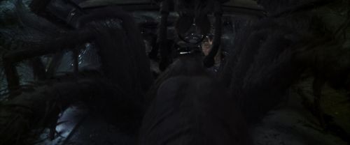 CS-Potterish_07413.jpg