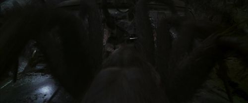 CS-Potterish_07414.jpg