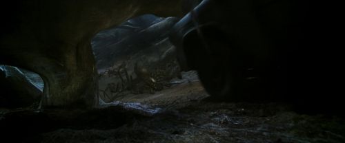 CS-Potterish_07422.jpg