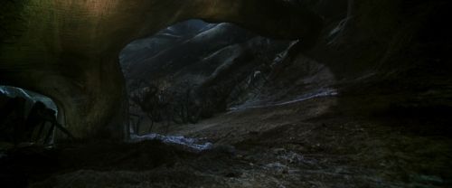 CS-Potterish_07423.jpg