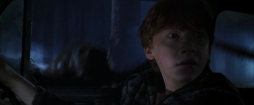 Click to view full size image
==============
CS-Potterish_07437.jpg CS-Potterish_07437.jpg