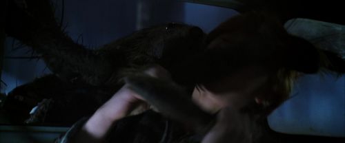 Click to view full size image
==============
CS-Potterish_07439.jpg CS-Potterish_07439.jpg