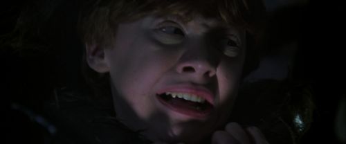 Click to view full size image
==============
CS-Potterish_07447.jpg CS-Potterish_07447.jpg