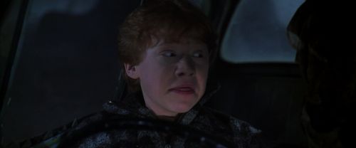CS-Potterish_07454.jpg