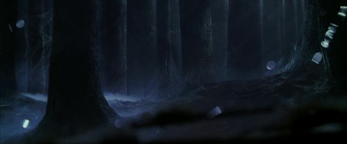 CS-Potterish_07461.jpg